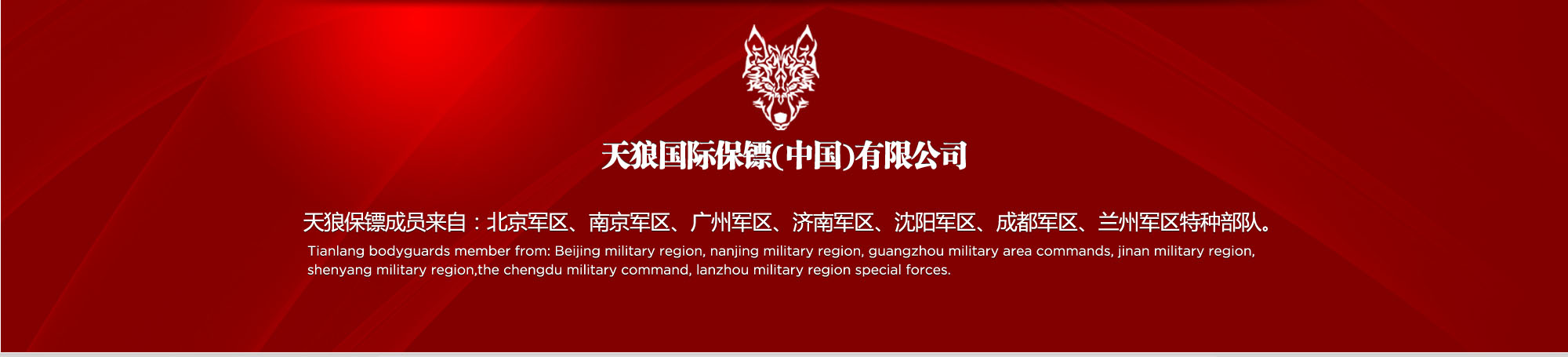 宜宾保镖公司
